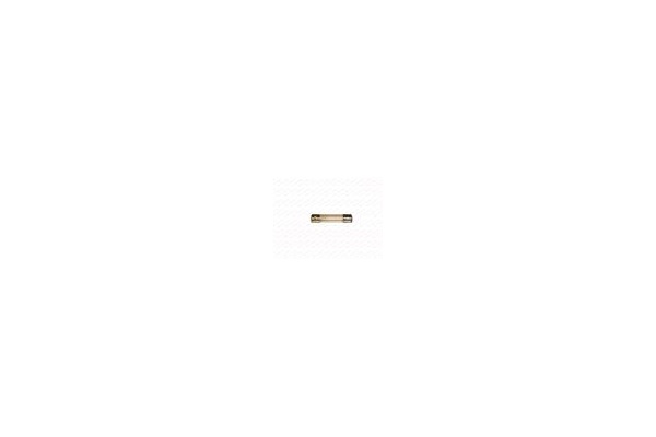 Üvegbiztosíték 8A 6,3x32mm lassú-1